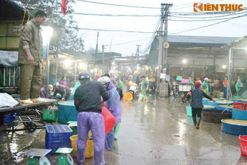 Cho ca lon nhat Ha Noi tap nap truoc ngay cung ong Cong ong Tao