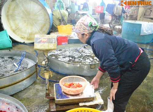 Cho ca lon nhat Ha Noi tap nap truoc ngay cung ong Cong ong Tao-Hinh-10