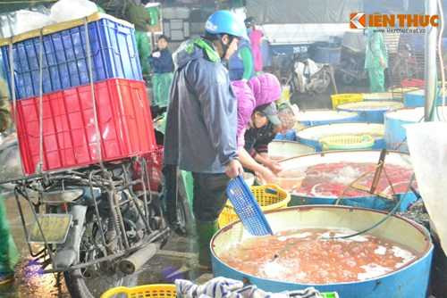 Cho ca lon nhat Ha Noi tap nap truoc ngay cung ong Cong ong Tao-Hinh-11