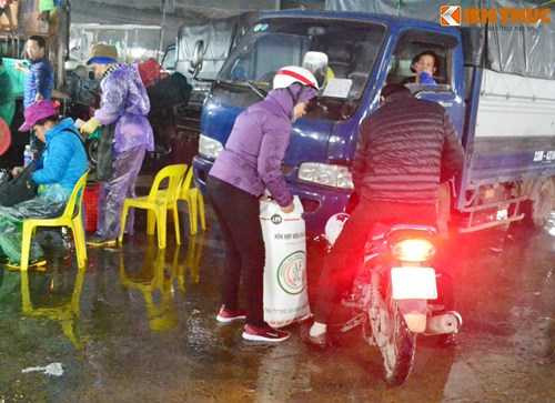 Cho ca lon nhat Ha Noi tap nap truoc ngay cung ong Cong ong Tao-Hinh-12