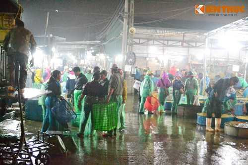 Cho ca lon nhat Ha Noi tap nap truoc ngay cung ong Cong ong Tao-Hinh-2