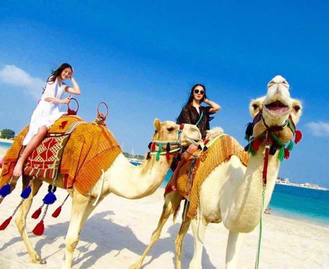 Cau am co chieu chau A nghi le nhu the nao? hinh anh 12