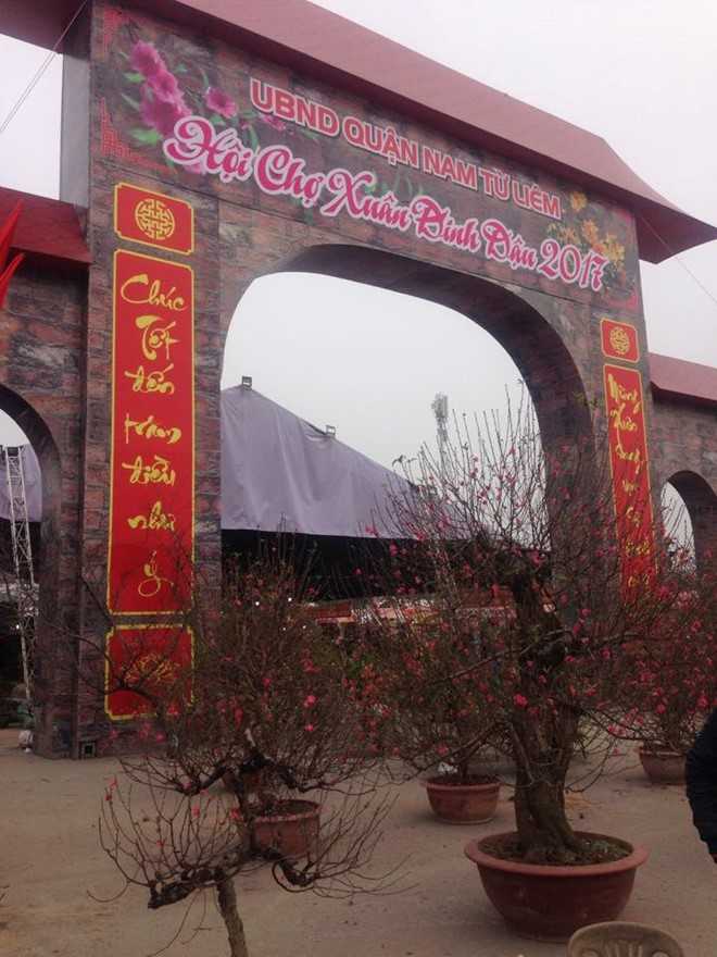 2 trieu dong mot cay dao that thon, khach khong buon mac ca hinh anh 2