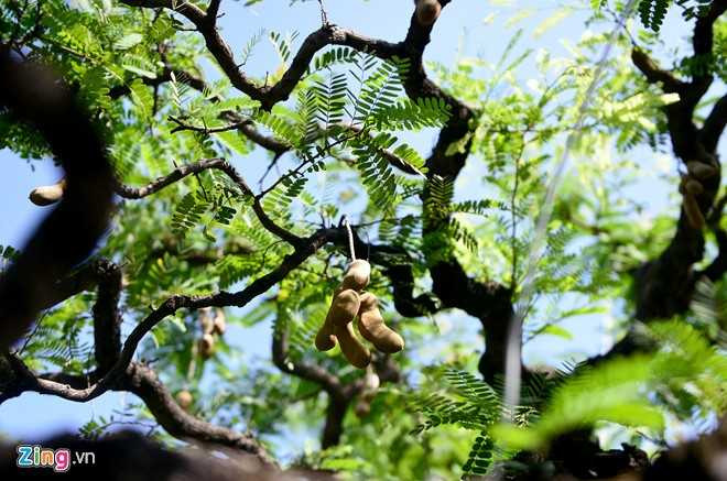 Cay me dang thac do may bay gia 3,5 ty dong o Sai Gon hinh anh 7