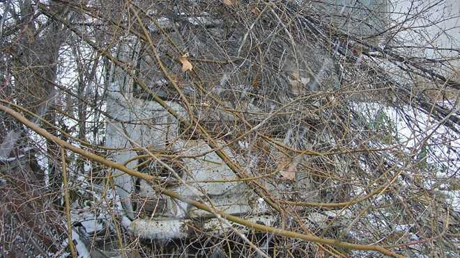 ‘Mo chon tap the’ nhung mau xe kinh dien o My hinh anh 3