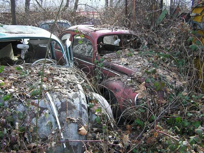 ‘Mo chon tap the’ nhung mau xe kinh dien o My hinh anh 5