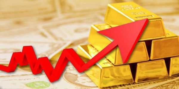 song-vang-usd-chung-khoan