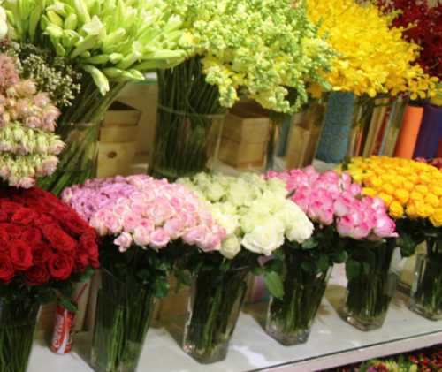 hoa-hong-tuoi-vinh-vien-gan-trieu-dong-mot-bong-1