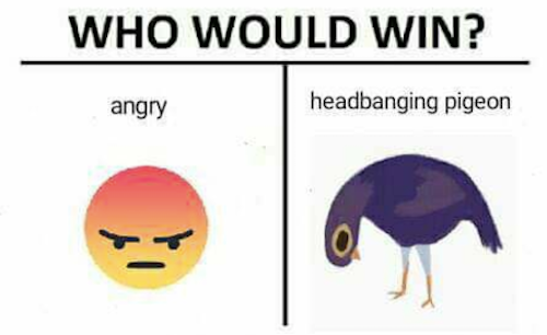 trash-dove-con-chim-tim-lam-loan-facebook-4