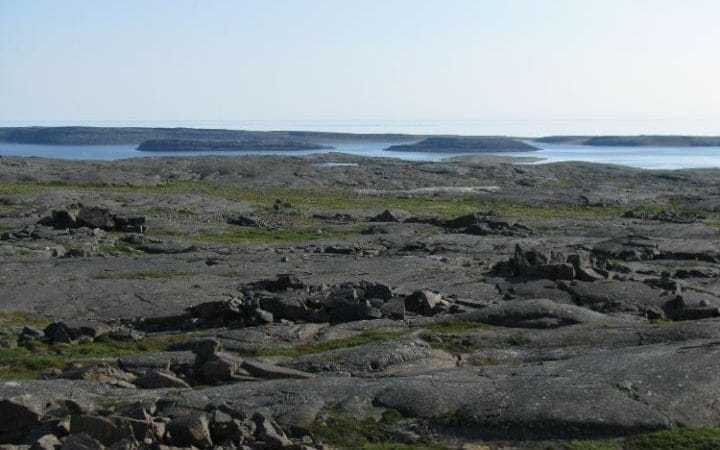 noi-tim-ra-hoa-thach-lau-doi-nhat