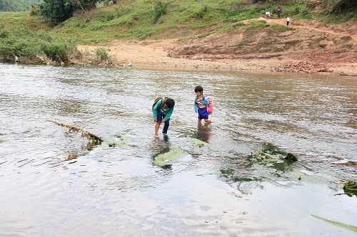quang tri: roi nuoc mat nhin hoc sinh tim tai loi song den truong hinh anh 4