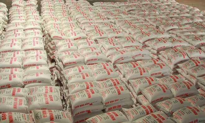 Đạm Ninh Bình hoạt động lại giữa vòng thua lỗ 3.100 tỷ đồng