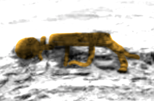 xac-nguoi-ngoai-hanh-tinh-2