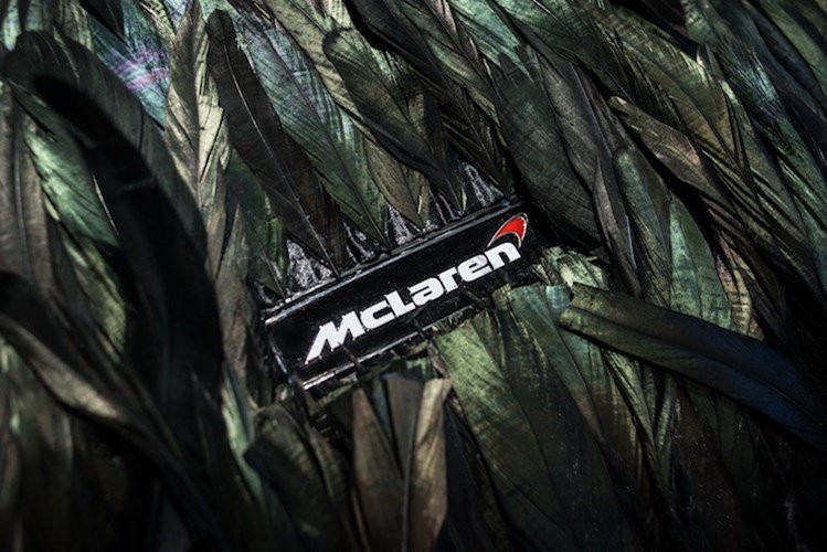 sieu-xe-mclaren-570gt-boc-long-chim-doc-nhat-the-gioi-hinh-2