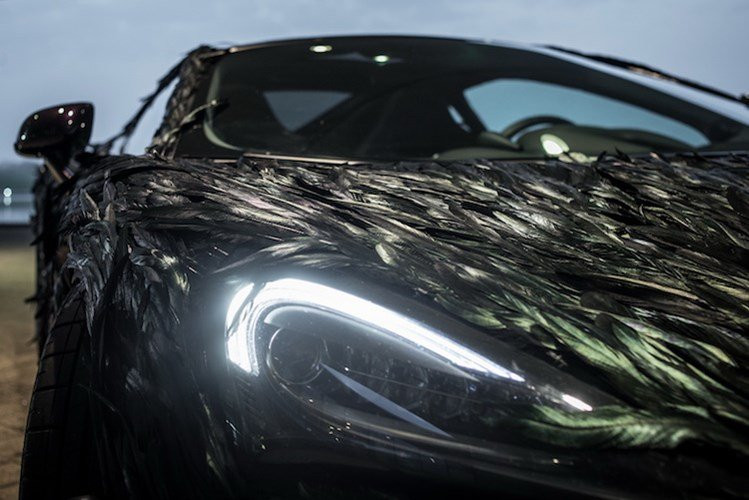 sieu-xe-mclaren-570gt-boc-long-chim-doc-nhat-the-gioi-hinh-4