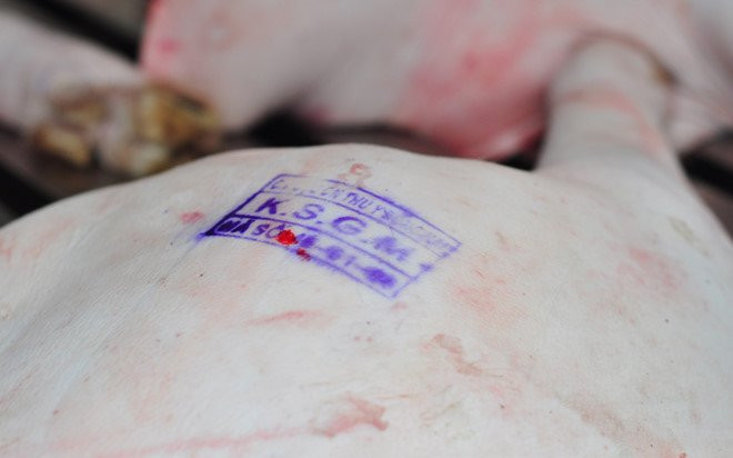 Chen nhau mua thit gia re 'giai cuu' heo o Dong Nai hinh anh 2