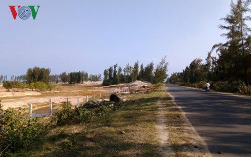 Pha rung lam du lich o Phu Yen, phá rừng ở phú yên, phá rừng phòng hộ ở phú yên, phá rừng làm du lịch , phú yên, tin phú yên, tin tức mới nhất, tin phú yên mới nhất, phá rừng, tin tức trong ngày, an ninh, rừng phòng hộ, thành phố tuy hòa, tin việt nam, tin tức, tin tức 24h - 2