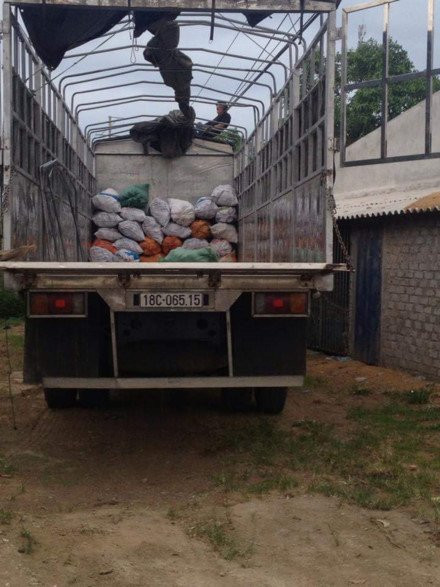 Nam thanh niên bị điện giật, thi thể treo nhiều giờ trên đường dây điện ảnh 1