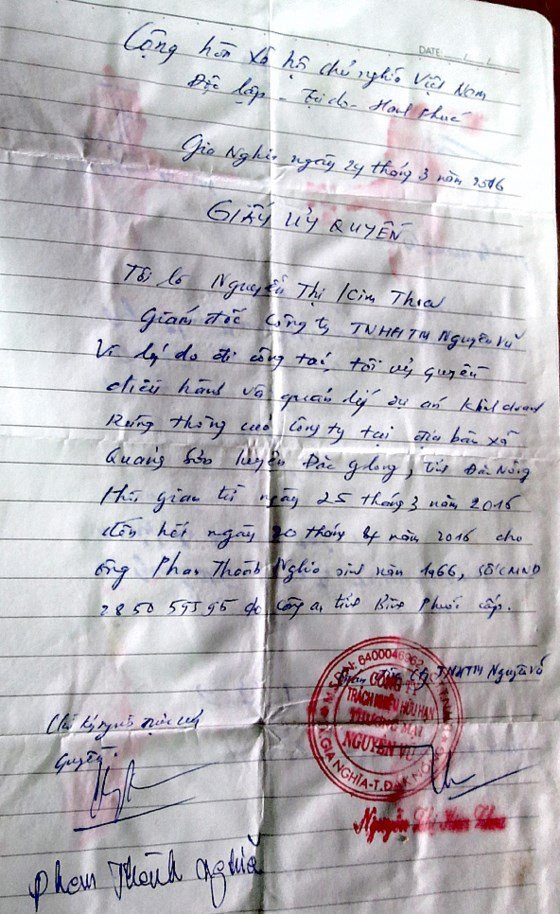 Ngang nhiên đem bán đất rừng ảnh 1