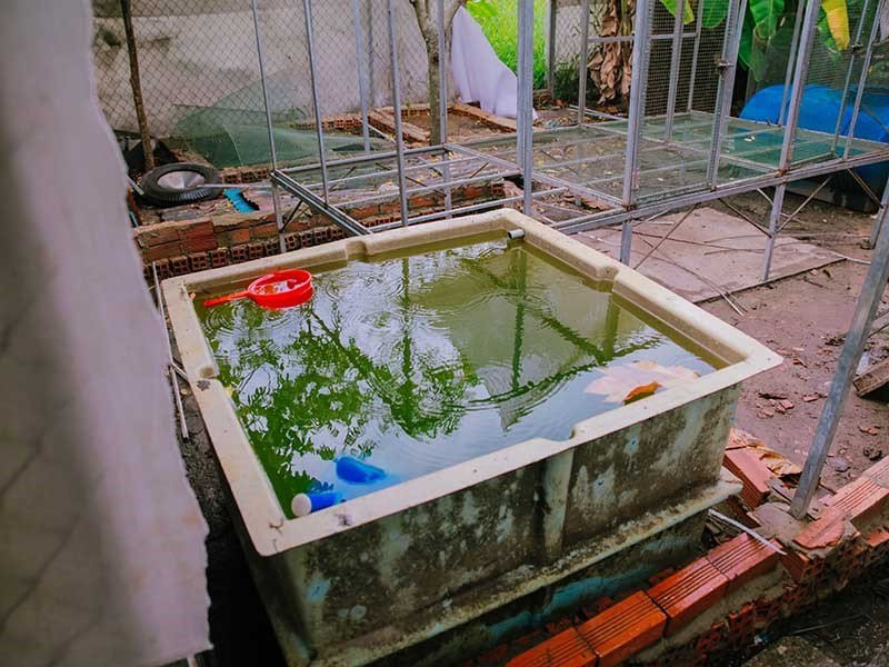 Khó xử lý vụ 2 trẻ sinh đôi bị hàng xóm xâm hại - ảnh 2