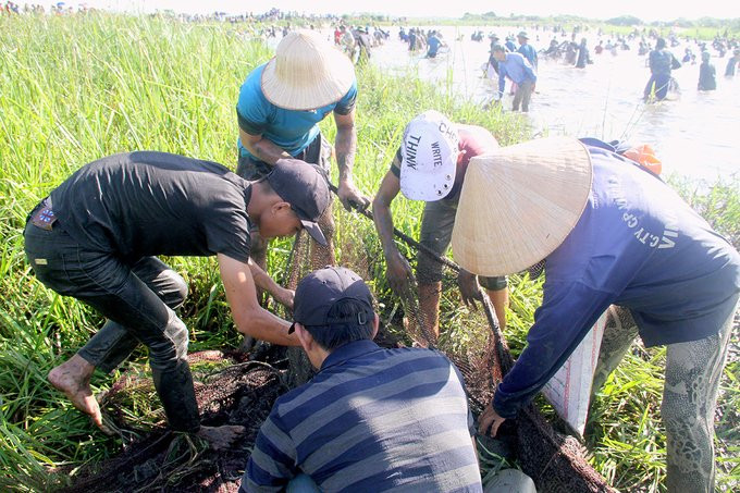 Hàng trăm người reo hò, đội nắng bắt cá dưới đầm