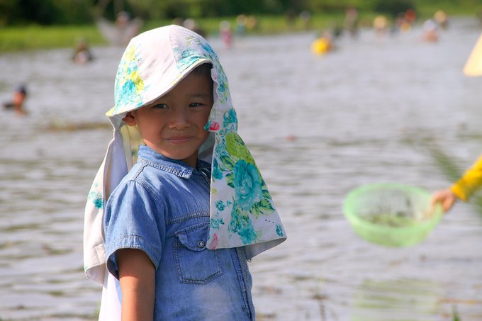 Hàng trăm người reo hò, đội nắng bắt cá dưới đầm