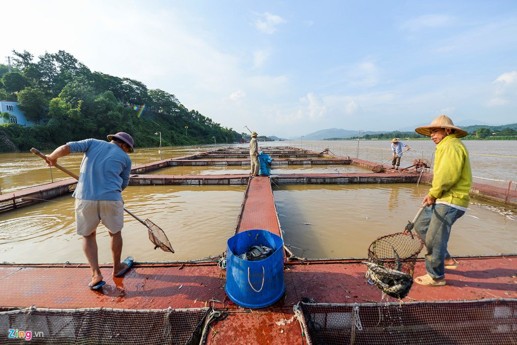 Thuy dien Hoa Binh xa lu, hang chuc tan ca tam chet sat ngay thu hoach hinh anh 12