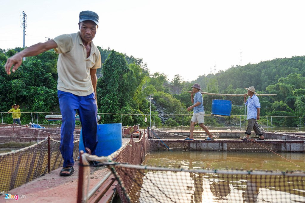 Thuy dien Hoa Binh xa lu, hang chuc tan ca tam chet sat ngay thu hoach hinh anh 14