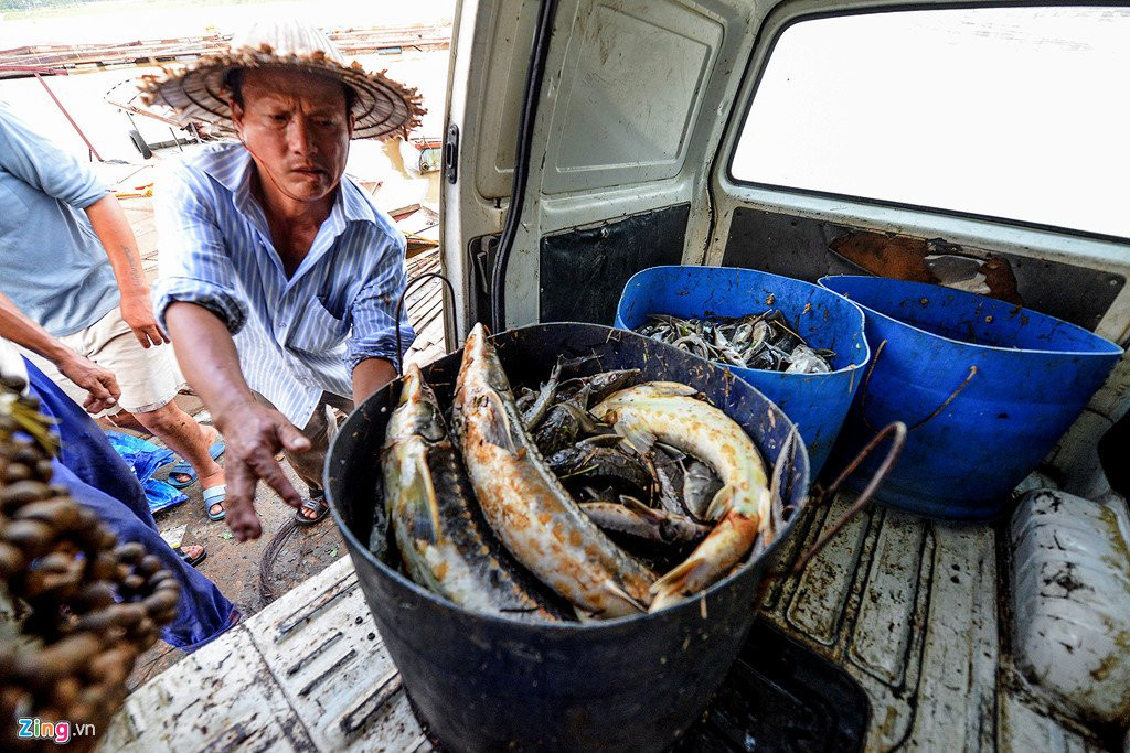 Thuy dien Hoa Binh xa lu, hang chuc tan ca tam chet sat ngay thu hoach hinh anh 16