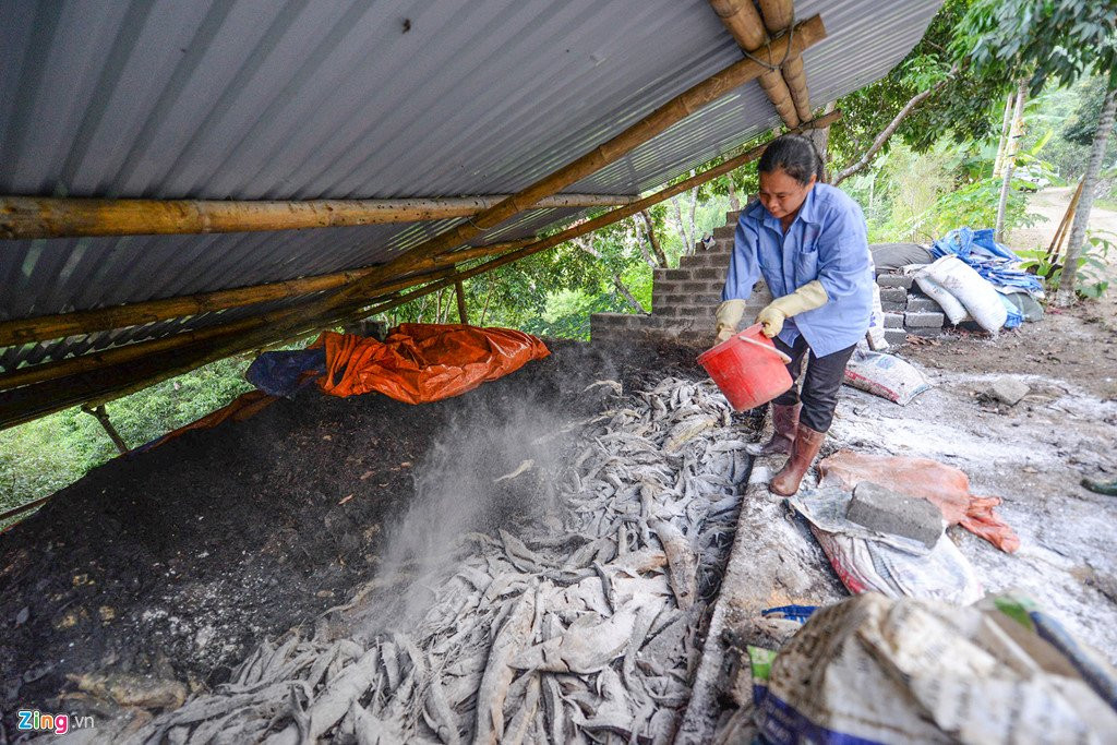 Thuy dien Hoa Binh xa lu, hang chuc tan ca tam chet sat ngay thu hoach hinh anh 18