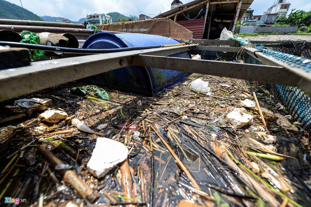 Thuy dien Hoa Binh xa lu, hang chuc tan ca tam chet sat ngay thu hoach hinh anh 3