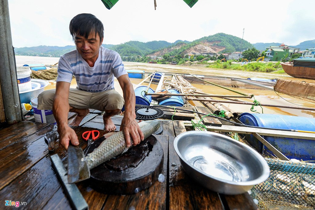 Thuy dien Hoa Binh xa lu, hang chuc tan ca tam chet sat ngay thu hoach hinh anh 7