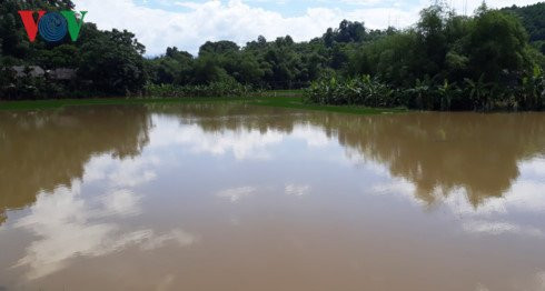 gan 140 ngoi nha tai yen bai bi toc mai do hoan luu bao so 6 hinh 1