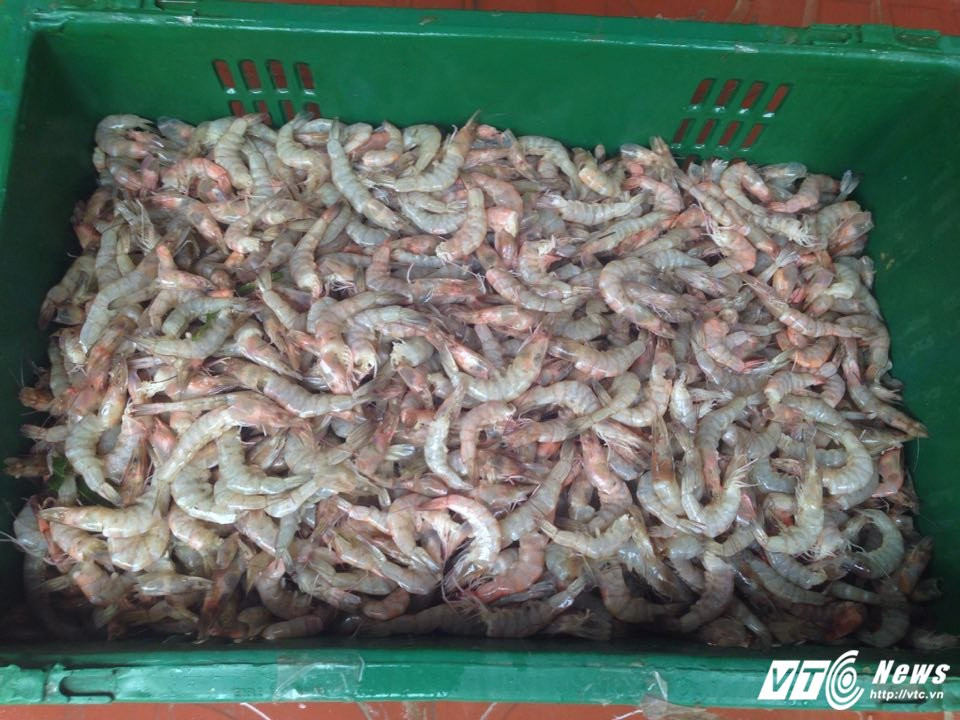 19866475_1141500589286469_274297030_n