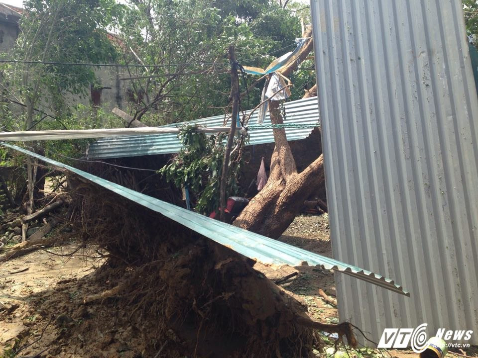 21754342_1141335079303020_1187595878_n 18