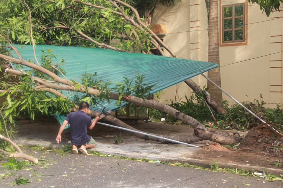 21754519_1148201645315886_950581454_n