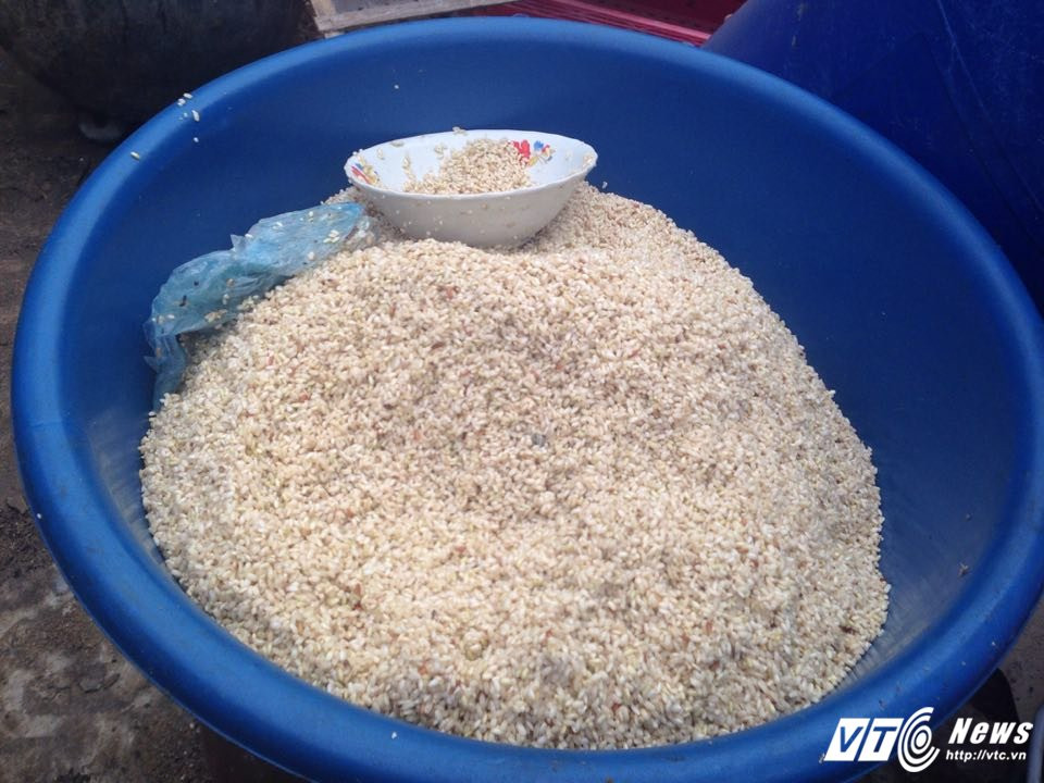 21849339_1141491592620702_2087455385_n 9