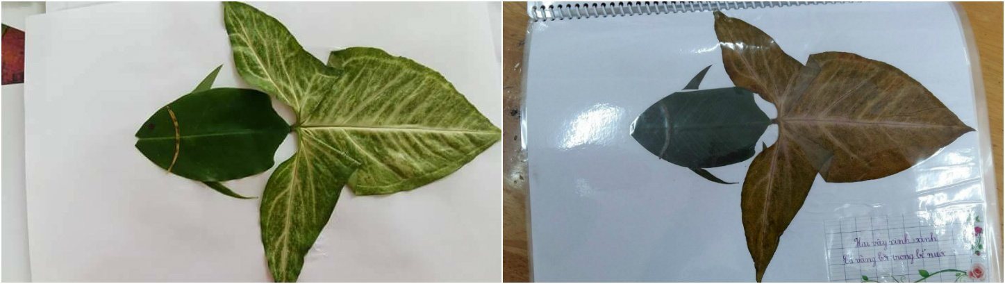 sáng tạo,đổi mới sáng tạo