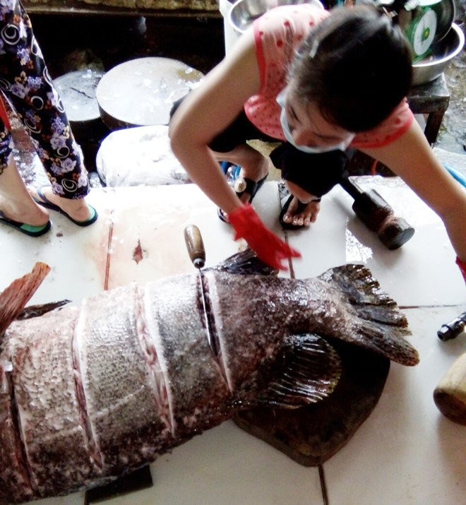 Bat duoc ca bong mu nang 55 kg o Phu Quoc hinh anh 2