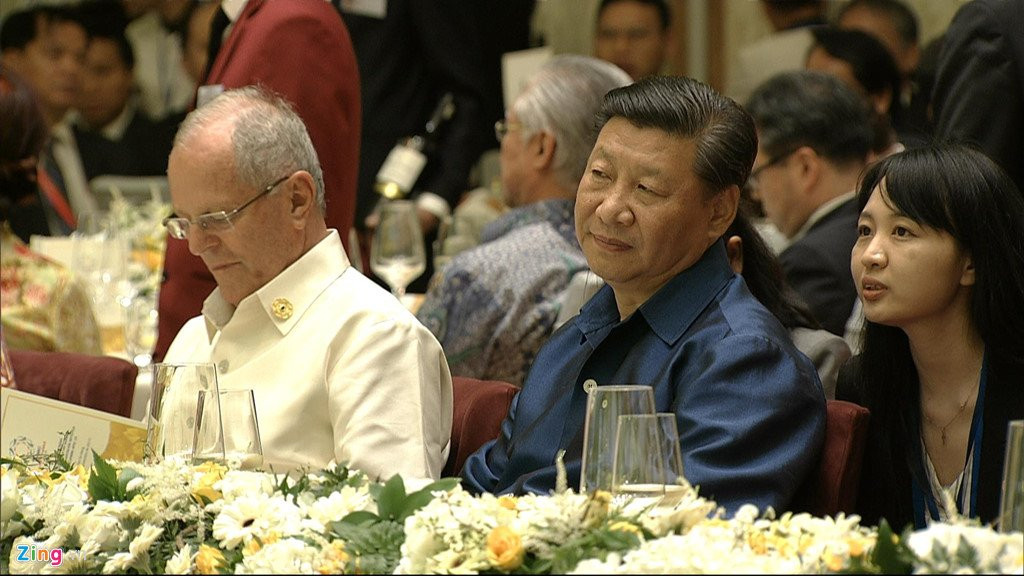 Chu tich nuoc Tran Dai Quang chu tri tiec chieu dai lanh dao APEC hinh anh 16