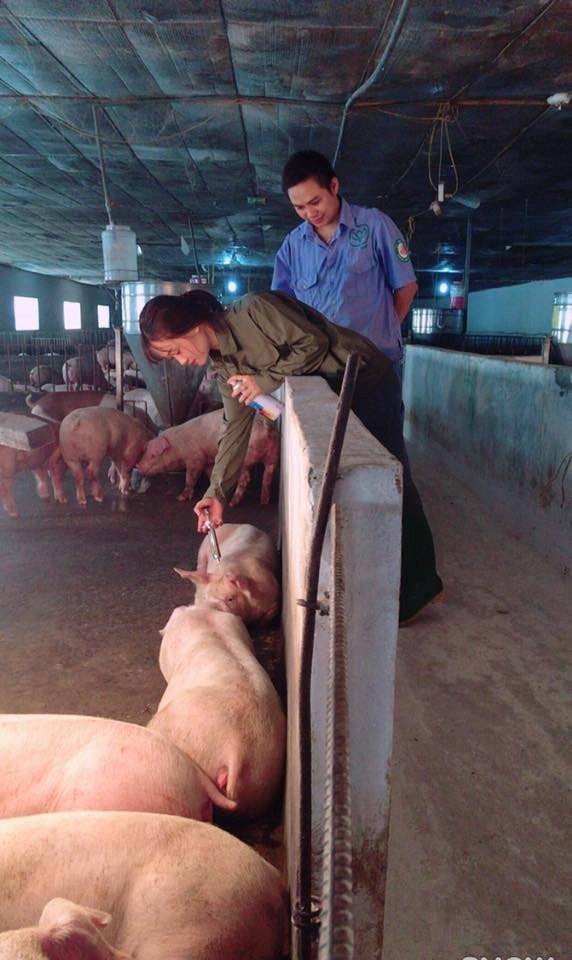 'Co gai chan heo' bi treu choc sau buc anh xinh dep tai trang trai hinh anh 4