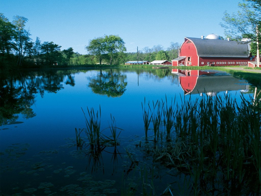 Ngoi truong doc nhat vo nhi day hoc sinh lam nong, ren kiem, nau an hinh anh 1