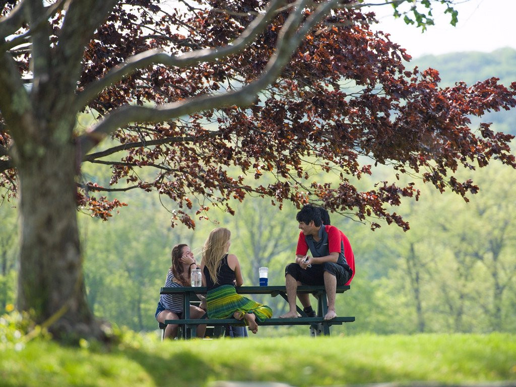 Ngoi truong doc nhat vo nhi day hoc sinh lam nong, ren kiem, nau an hinh anh 3