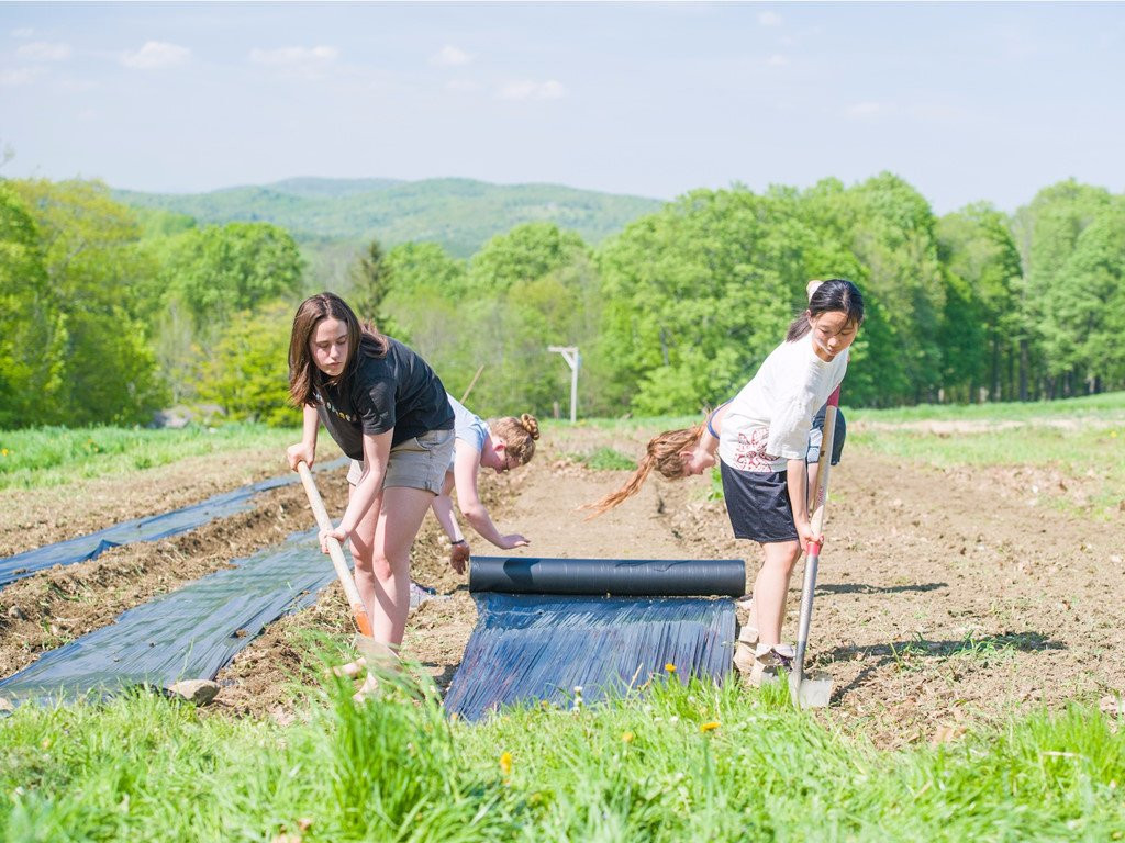 Ngoi truong doc nhat vo nhi day hoc sinh lam nong, ren kiem, nau an hinh anh 7