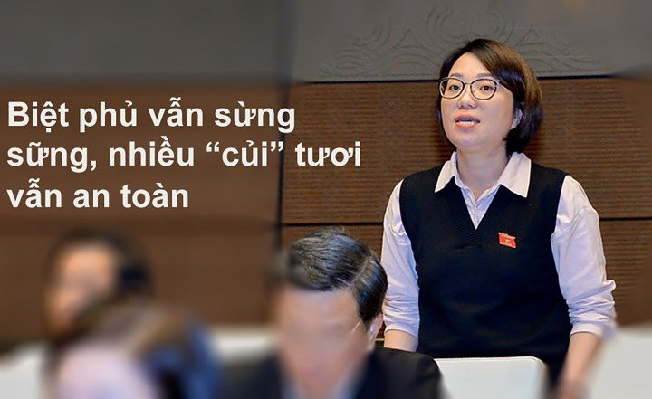 phat ngon dang suy ngam va diem nhan ky hop thu 4 cua quoc hoi hinh 11