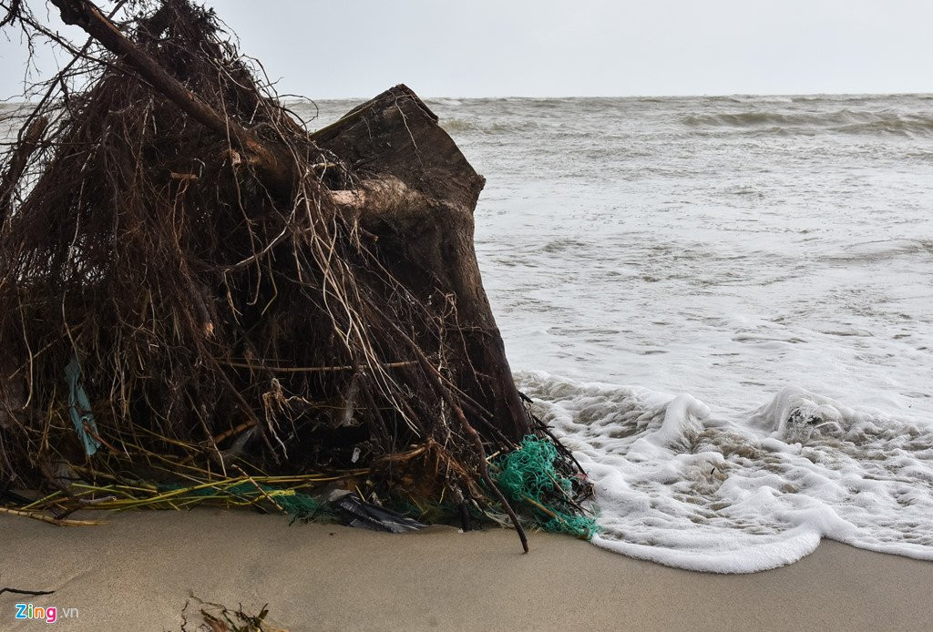 Trieu cuong giat sap nhieu nha dan hinh anh 12