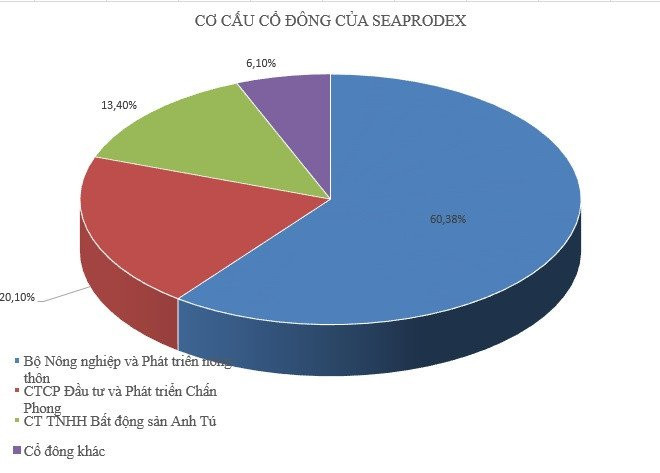 Cong ty lien quan den Vu 'nhom' ban het co phan tai Seaprodex hinh anh 1