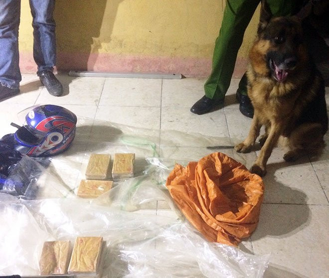 4b84d82e-ab36-4cfe-a2b4-8b23a1737a03