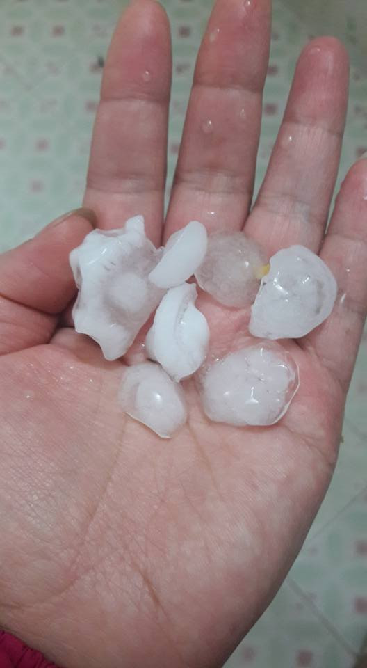 28576104_2072354036317124_5752558352986567060_n 8