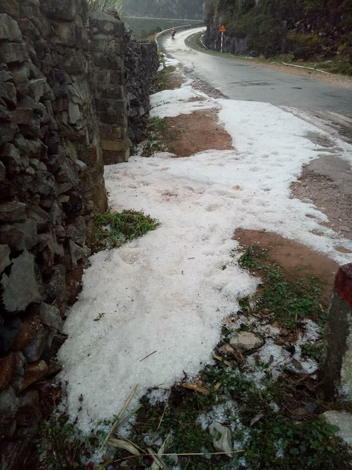 28660462_1781582605478773_2342513000844139328_n 9